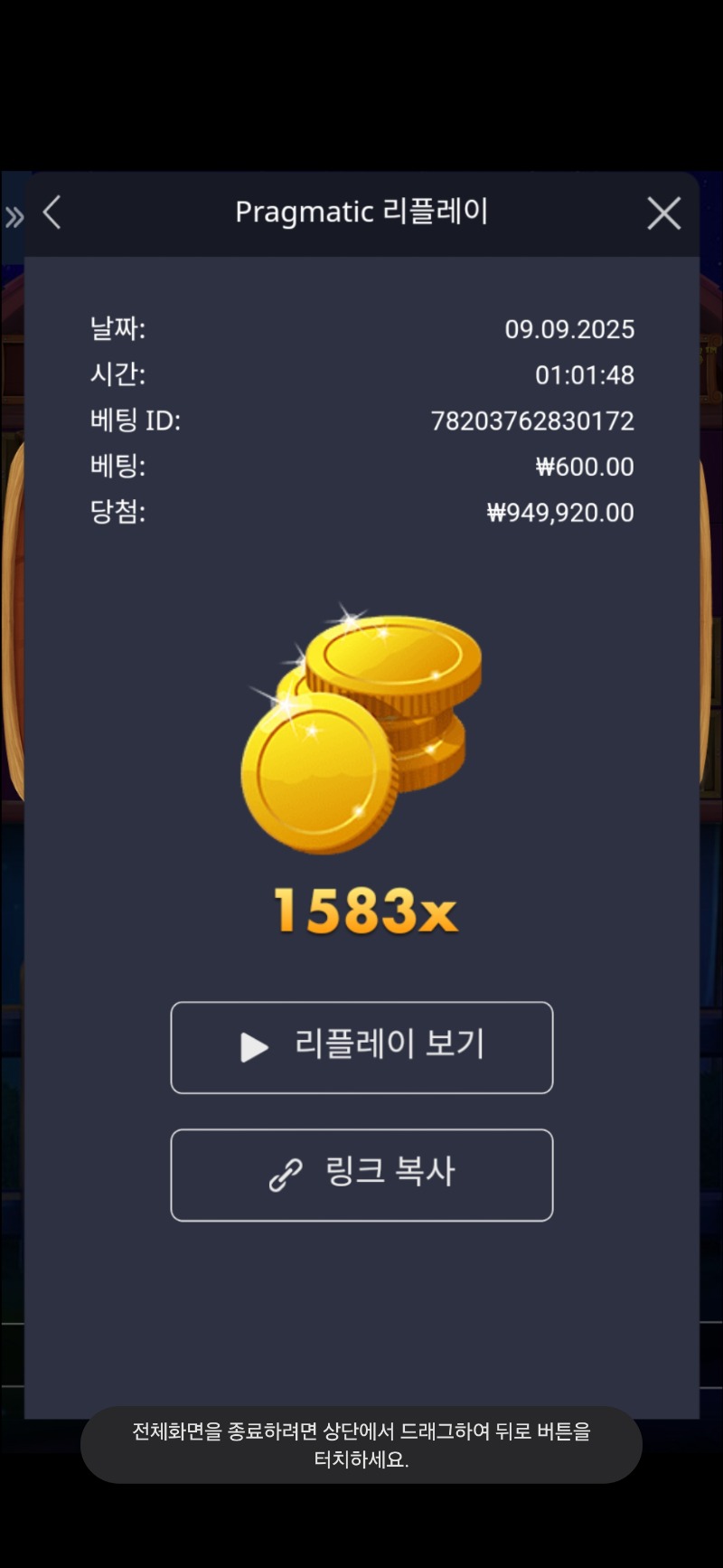 개집메가 1583