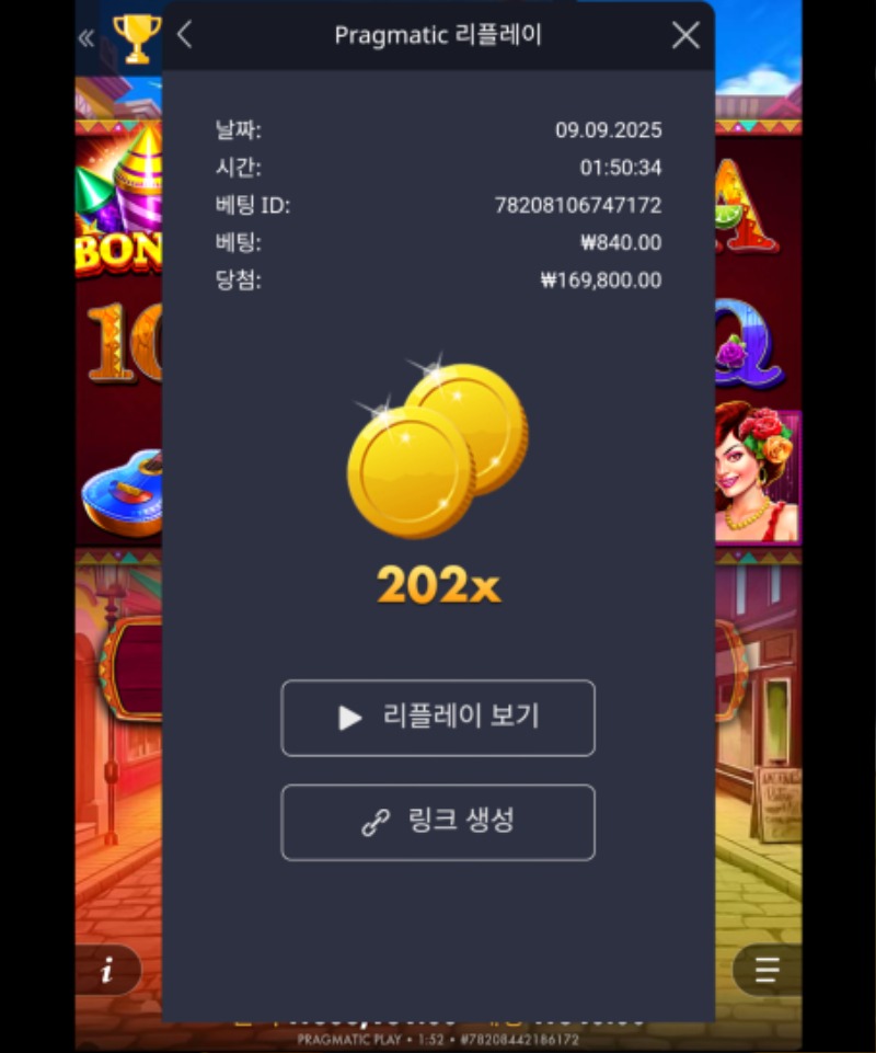 핫피 202배