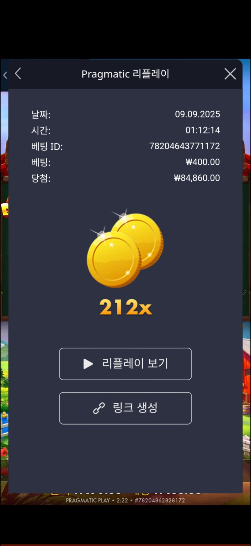 닭집 212배
