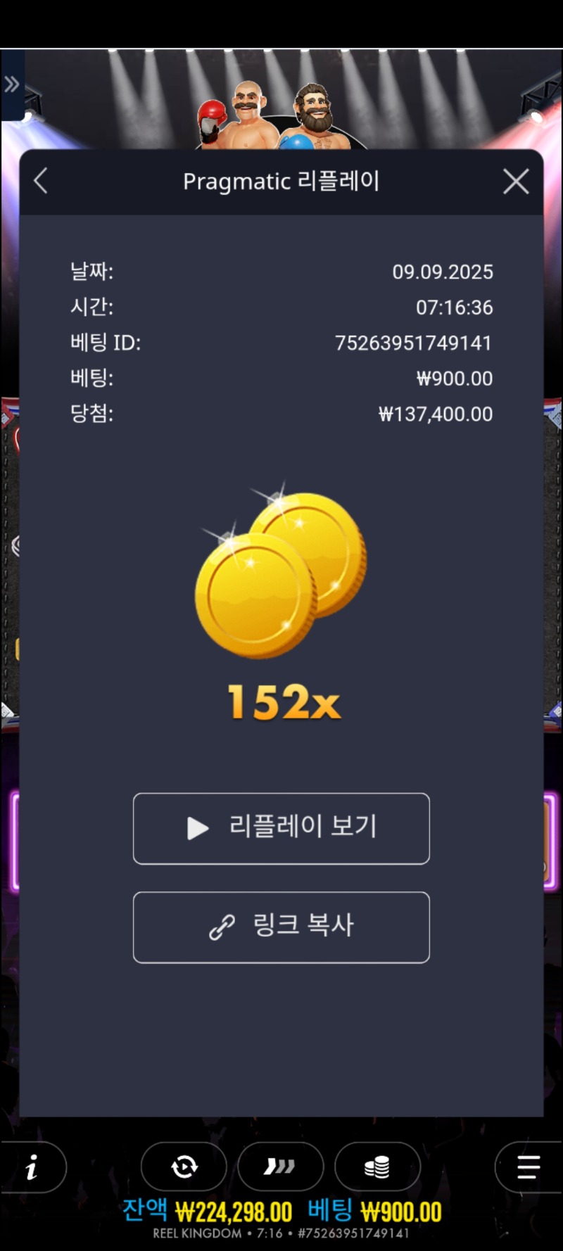 빅베스 복싱 152배