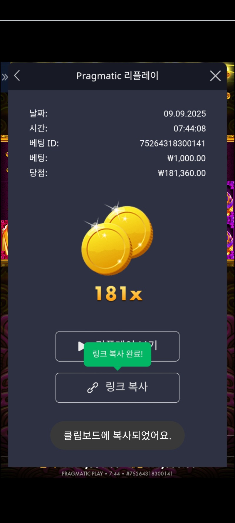 토라매 181배