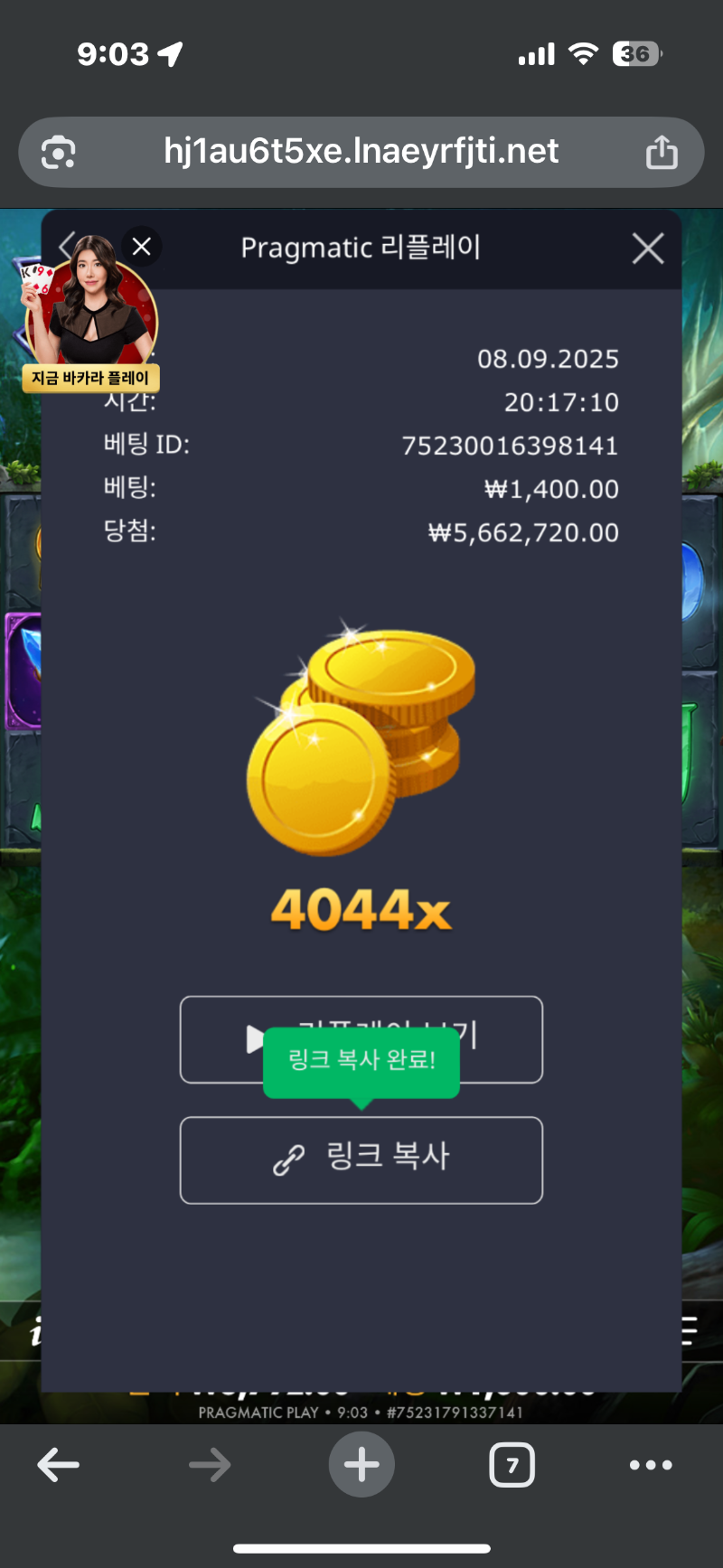 멀린4044