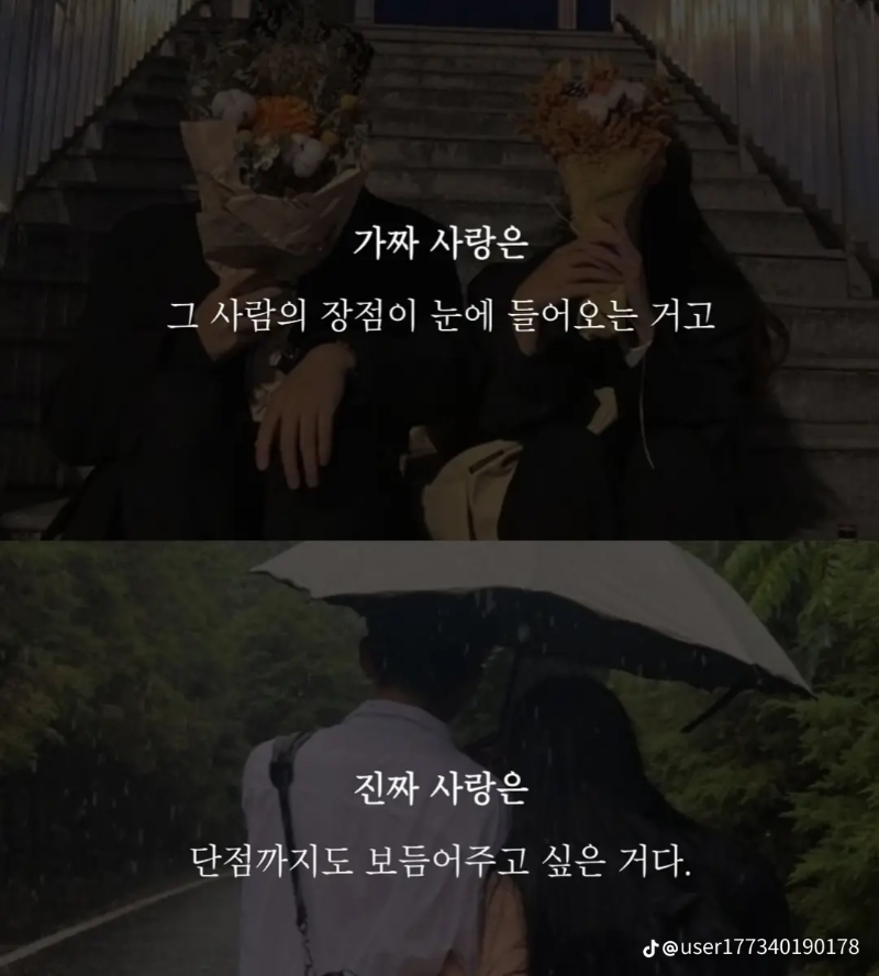 굿몽~가짜사랑과 진짜사랑?  차이점?
