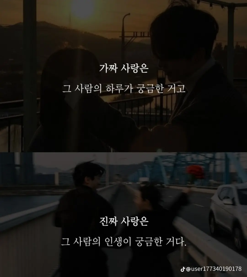 굿몽~가짜사랑과 진짜사랑?  차이점?