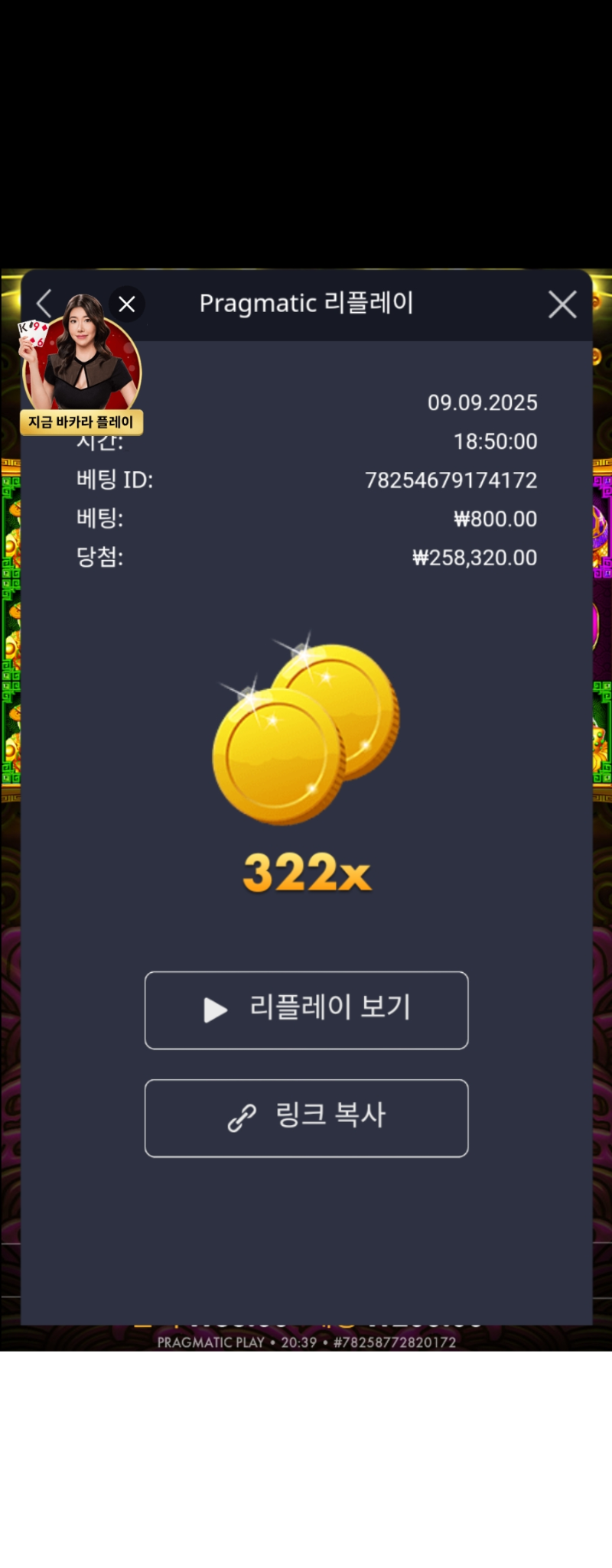 토라메322