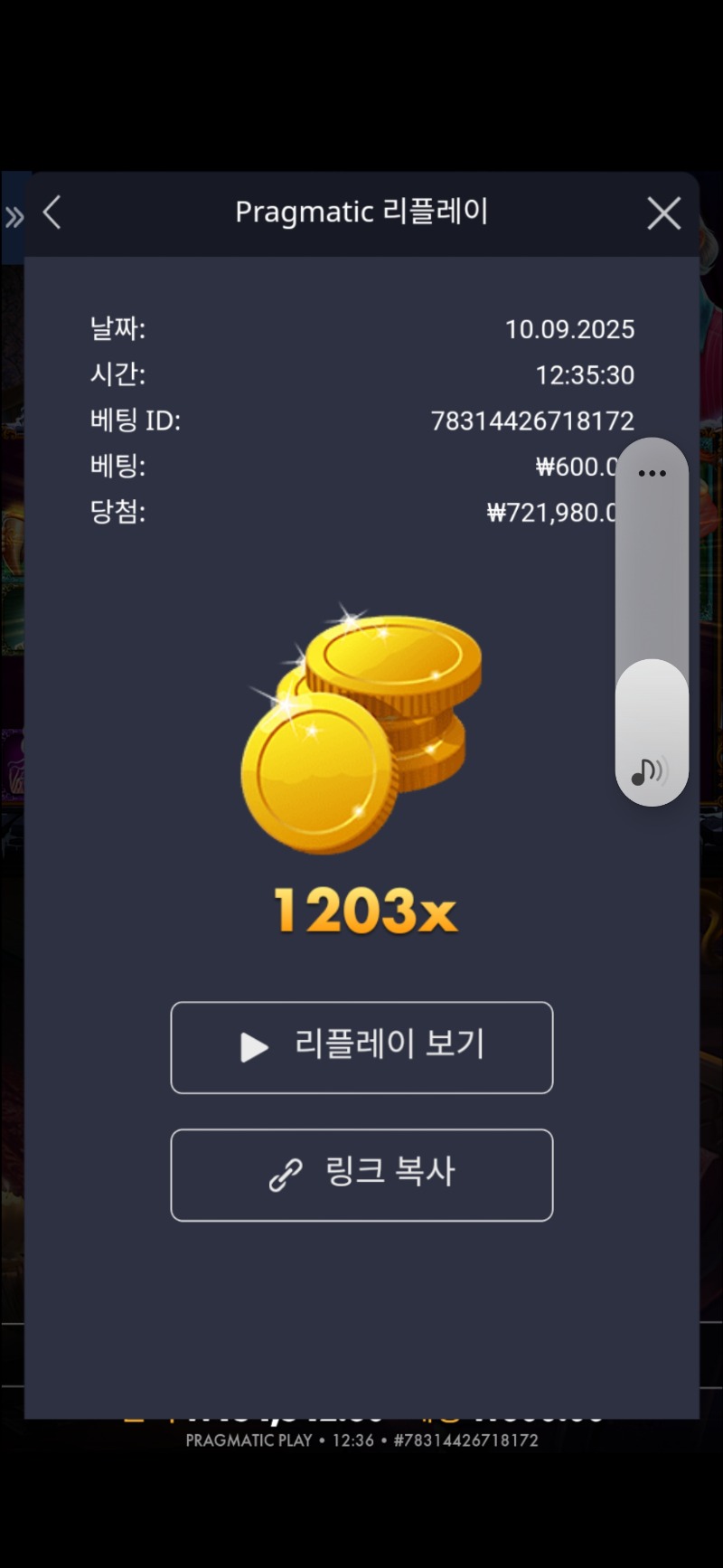 크캐메 1203