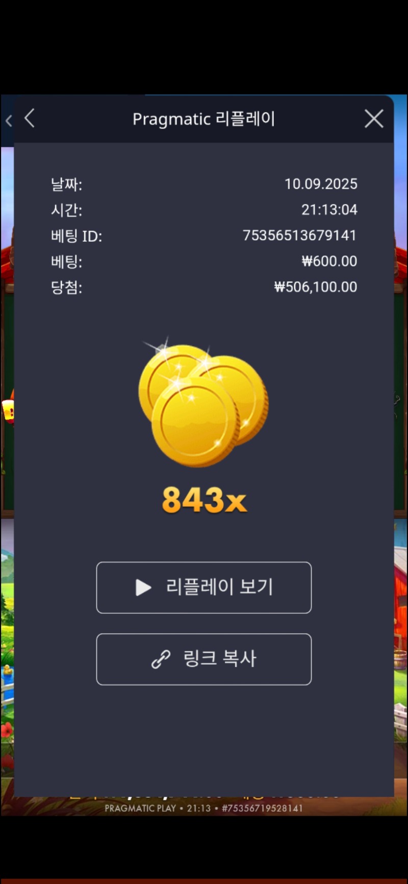 닭집843배