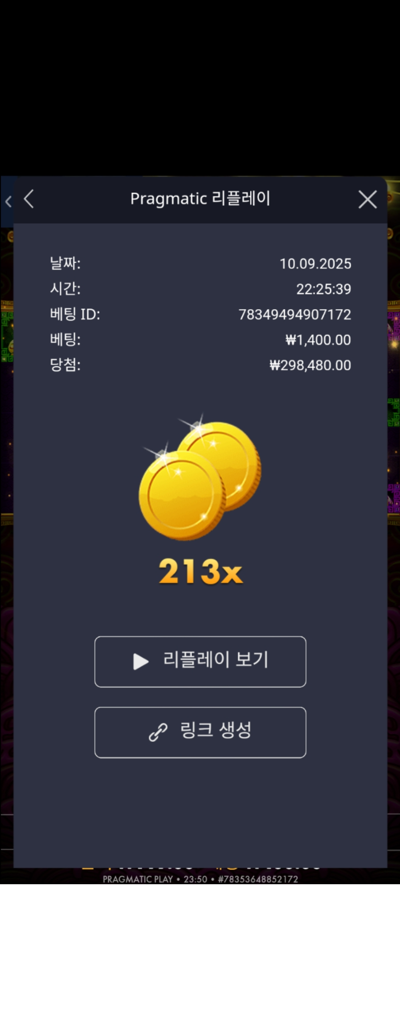 토라메213