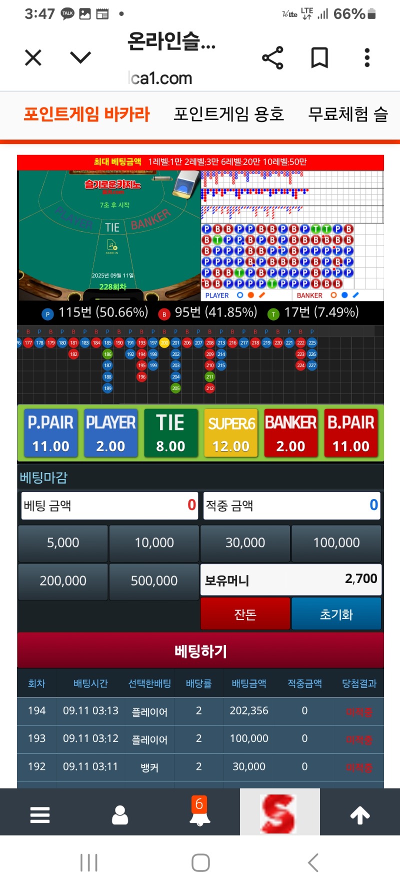 이번주 포교는~~