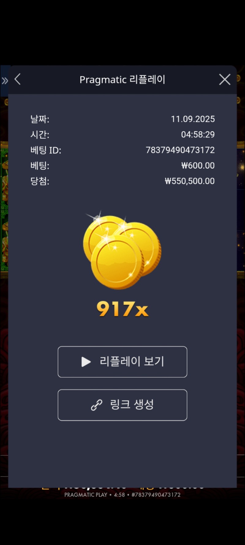 오라메917
