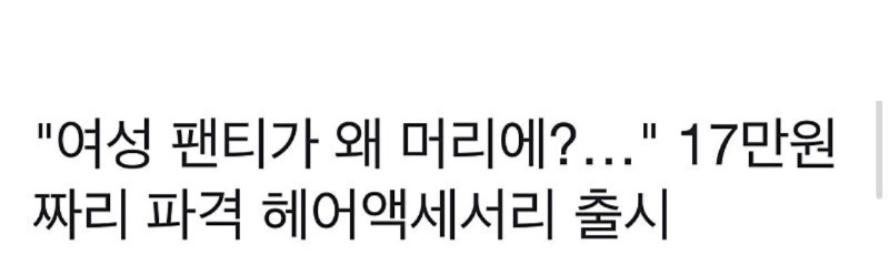 17만원 짜리 헤어 악세사리