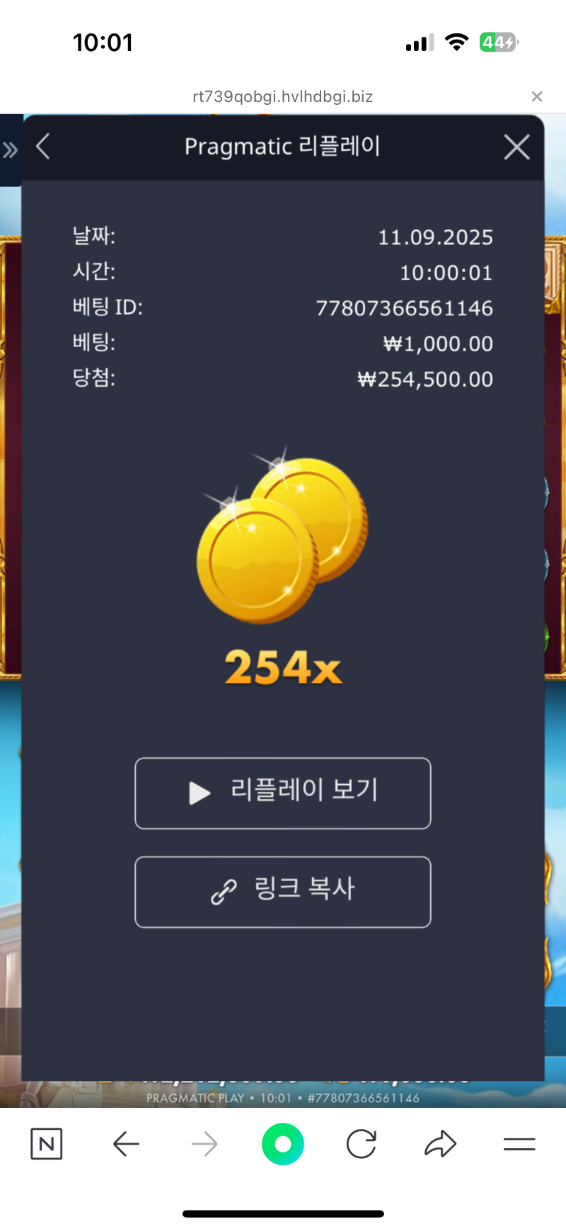 아테네1000 254배