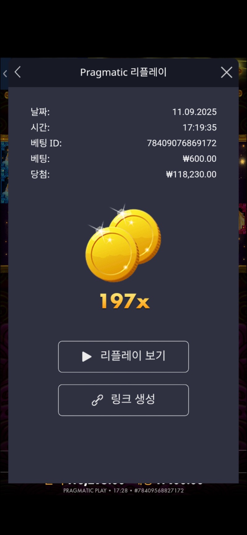 토라메 197배