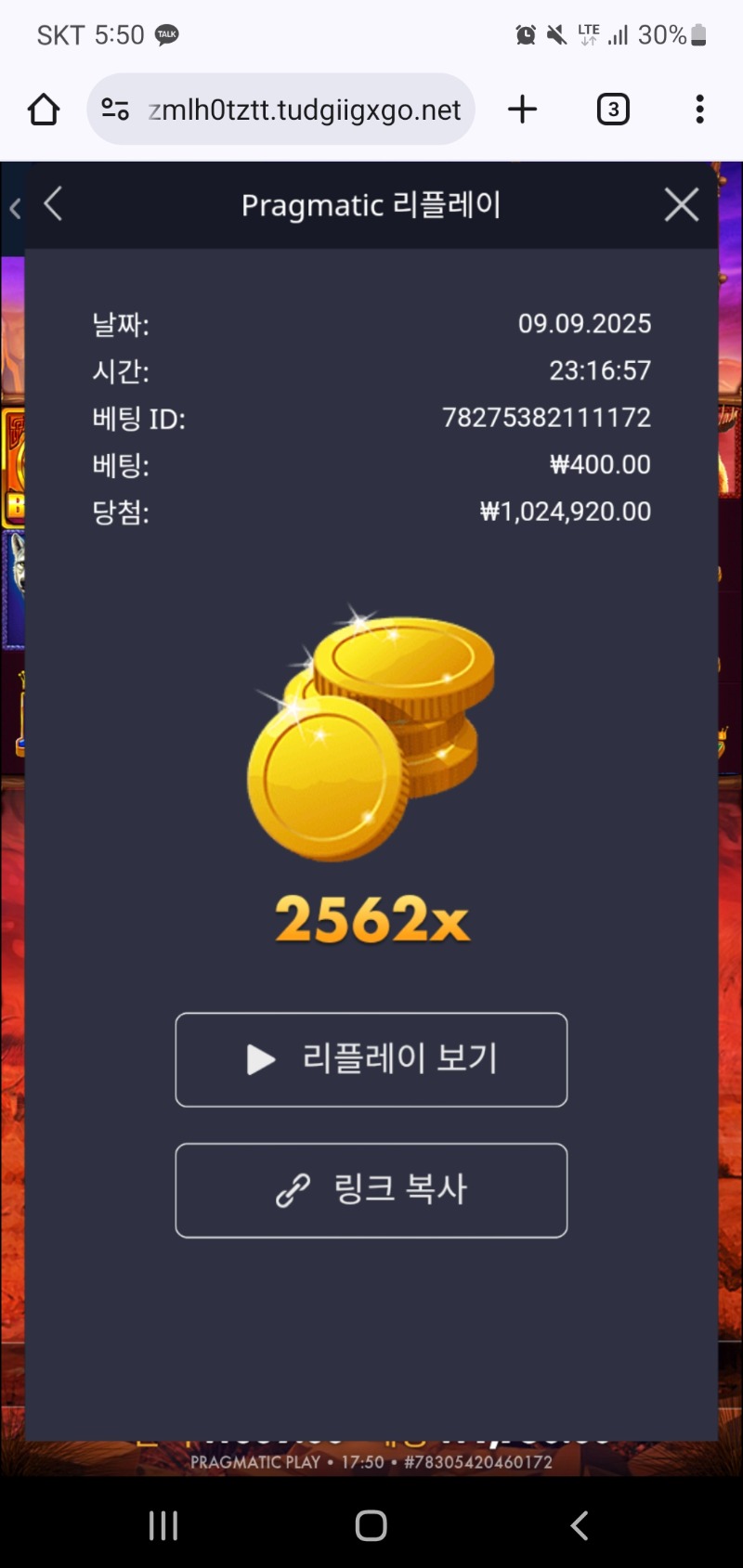 버메가2562배