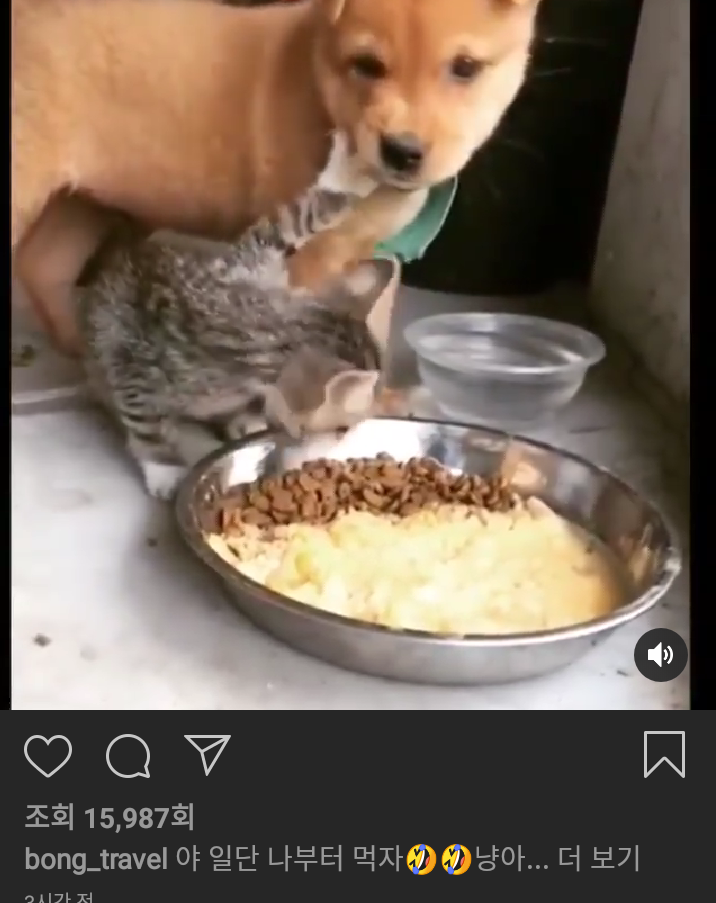 나부터 먹자