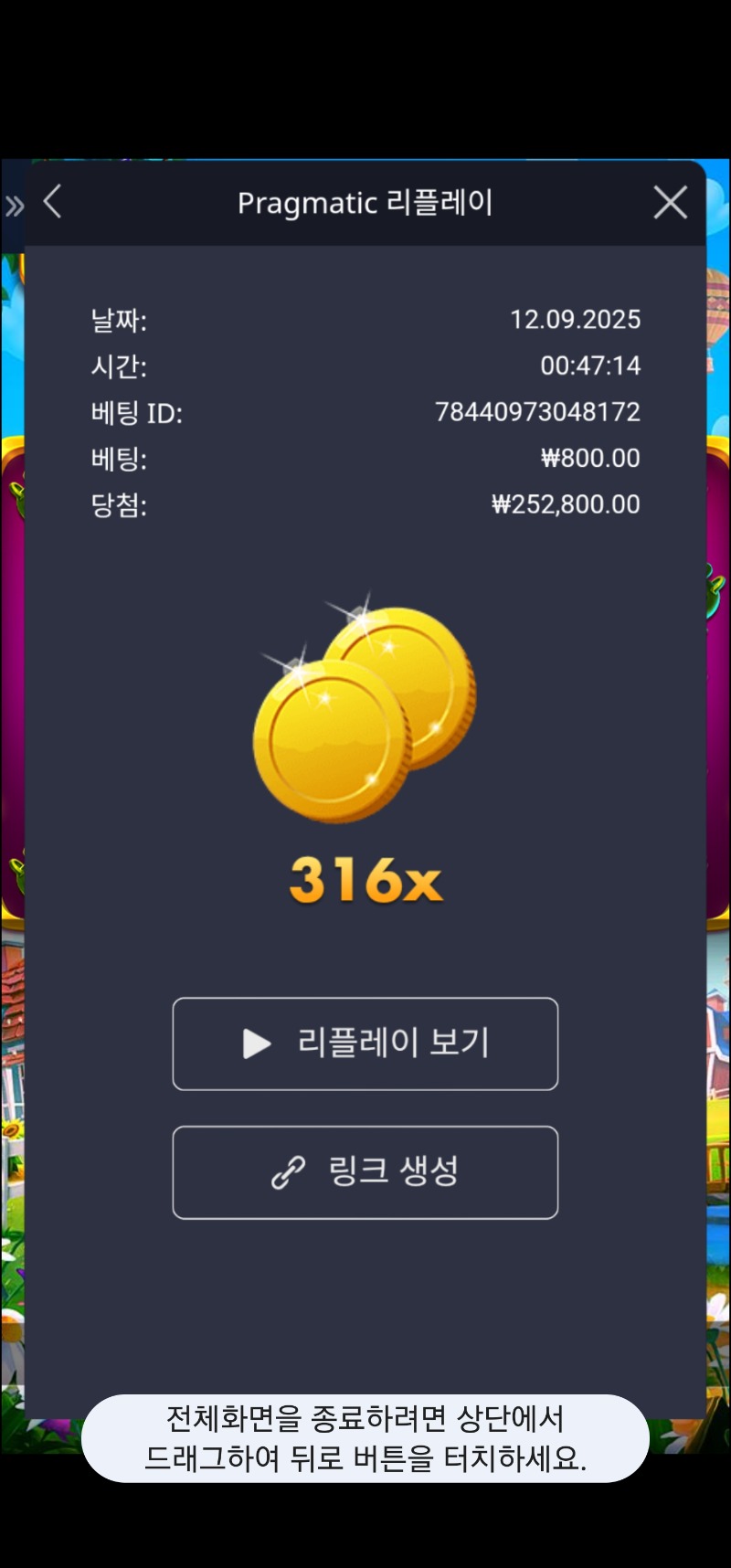 황삽 316배