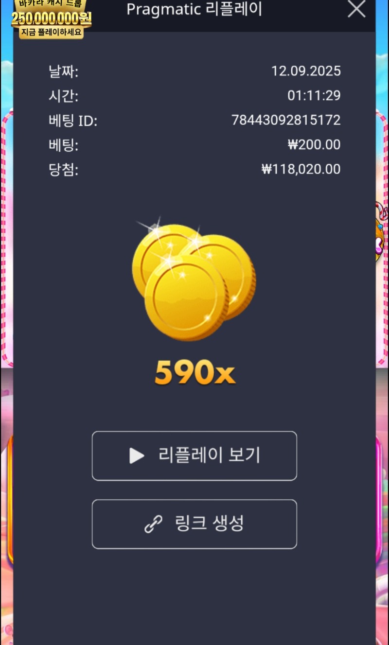 스위트보난자590