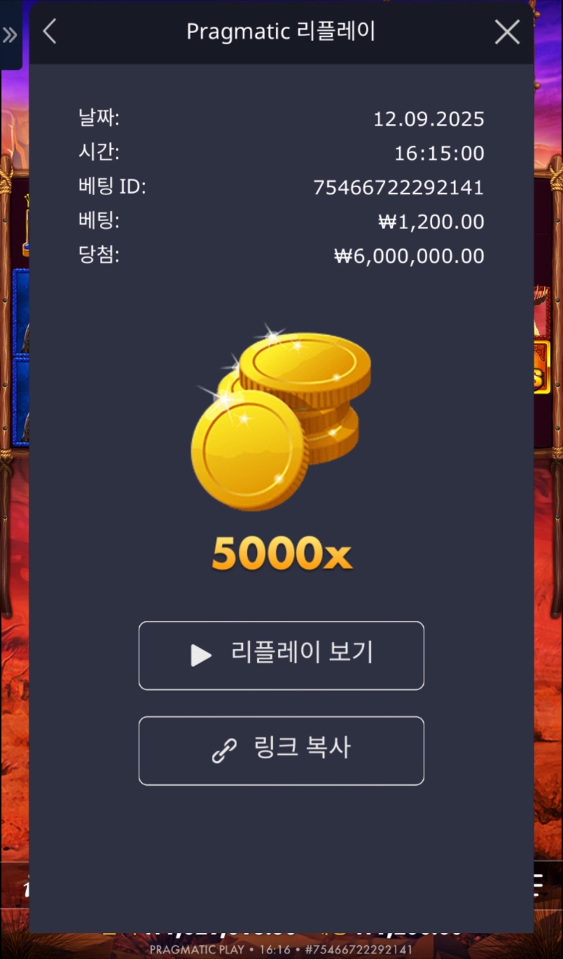 버매가5000배