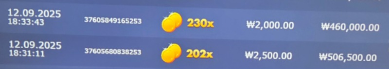 벌꿀농부×202