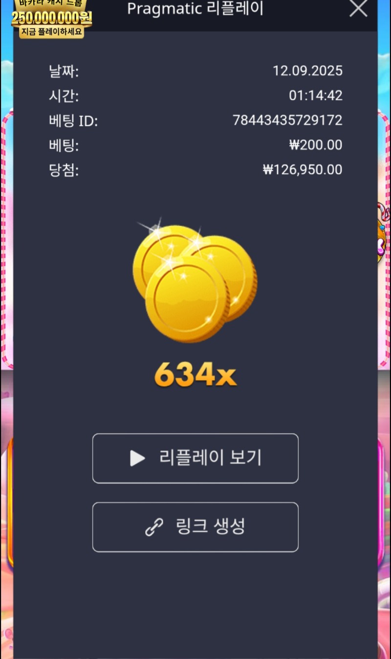 스위트보난자634