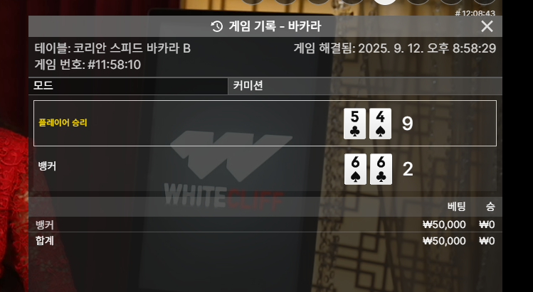 바카라 패!