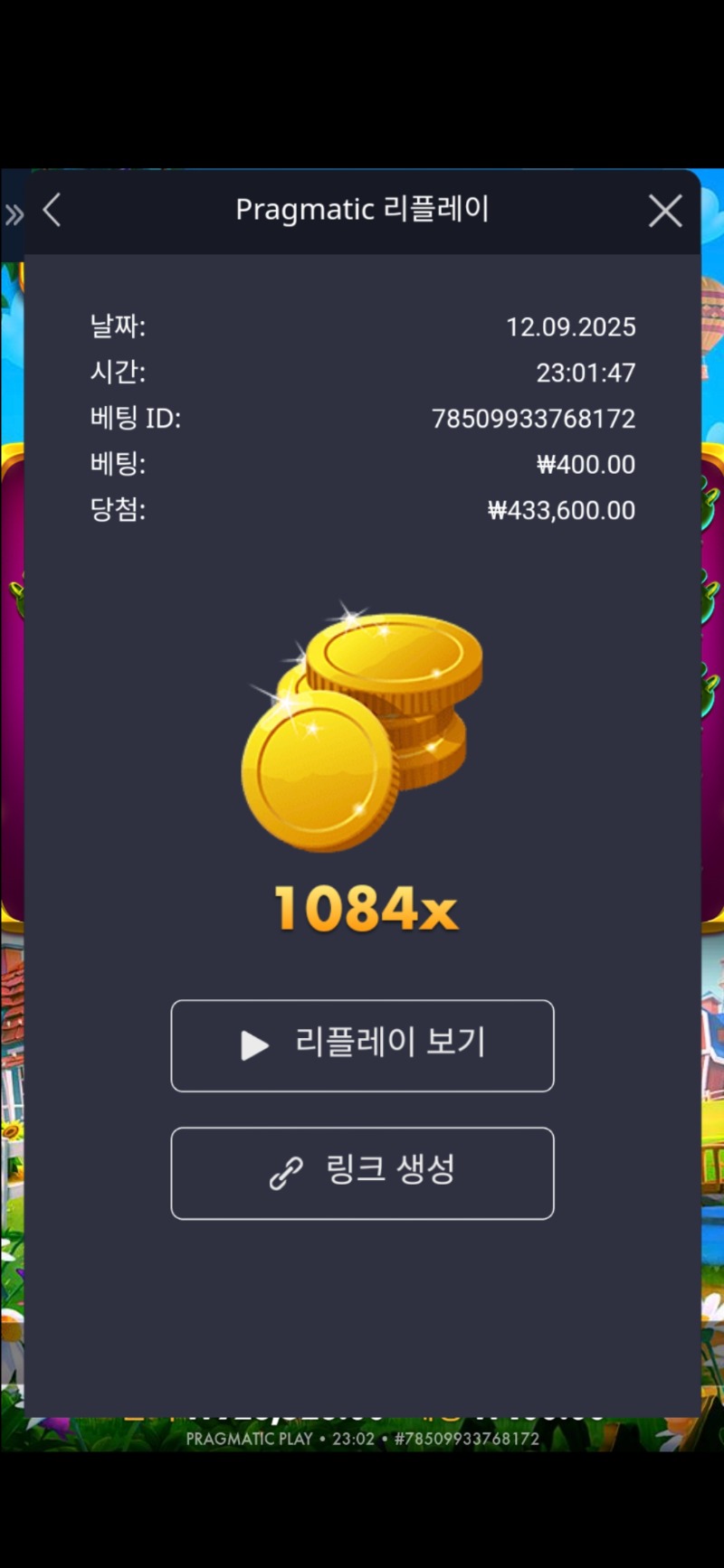 홍금삽 1084배