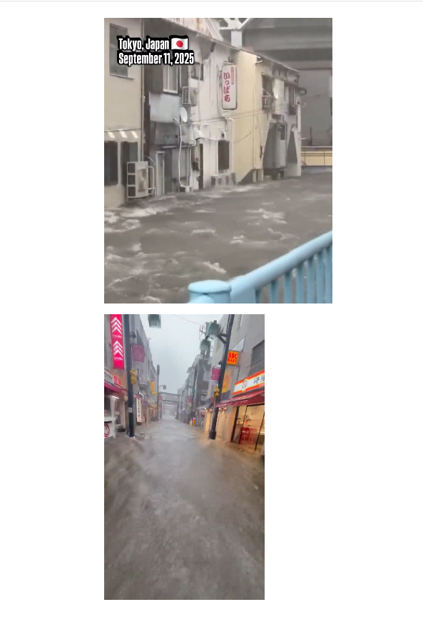 폭우로 현타온 일본