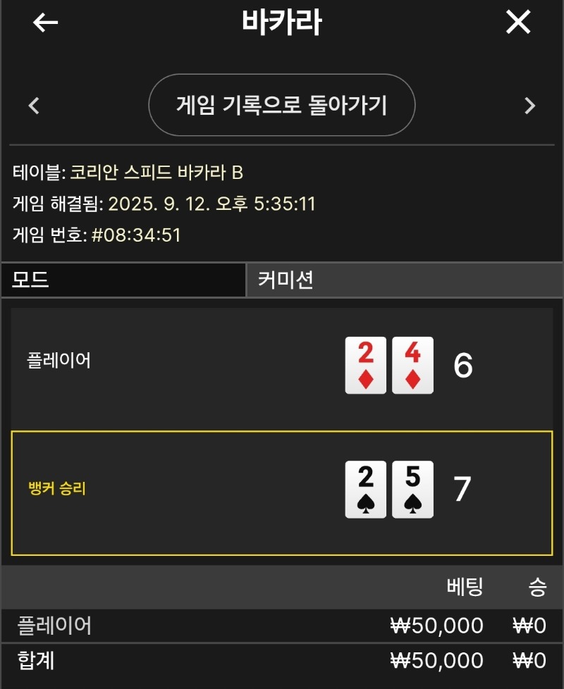 플레이어 패