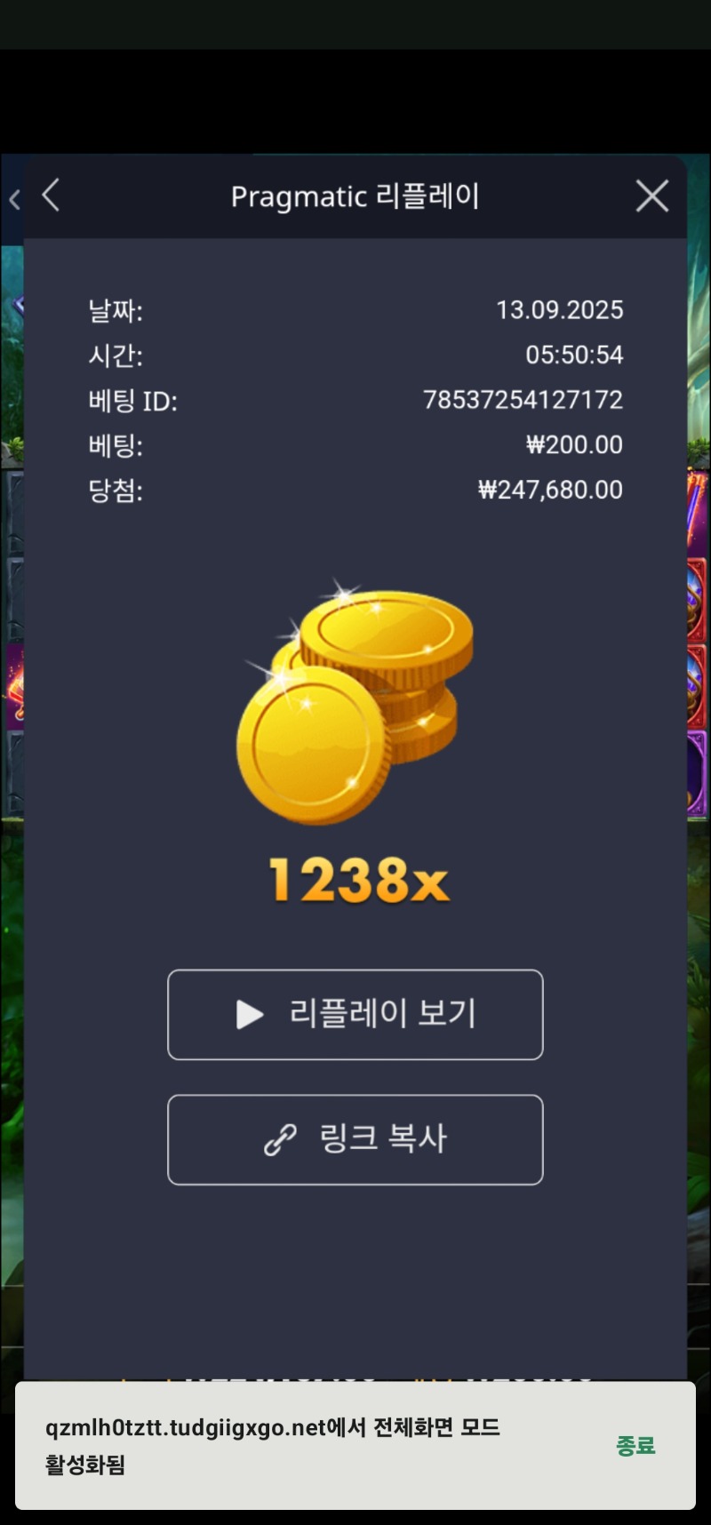 멀린 1238