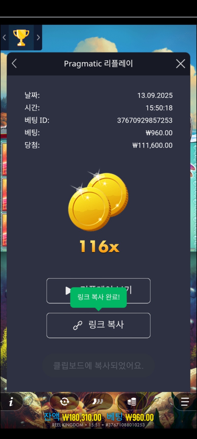 빅베스 릴 리피트116배