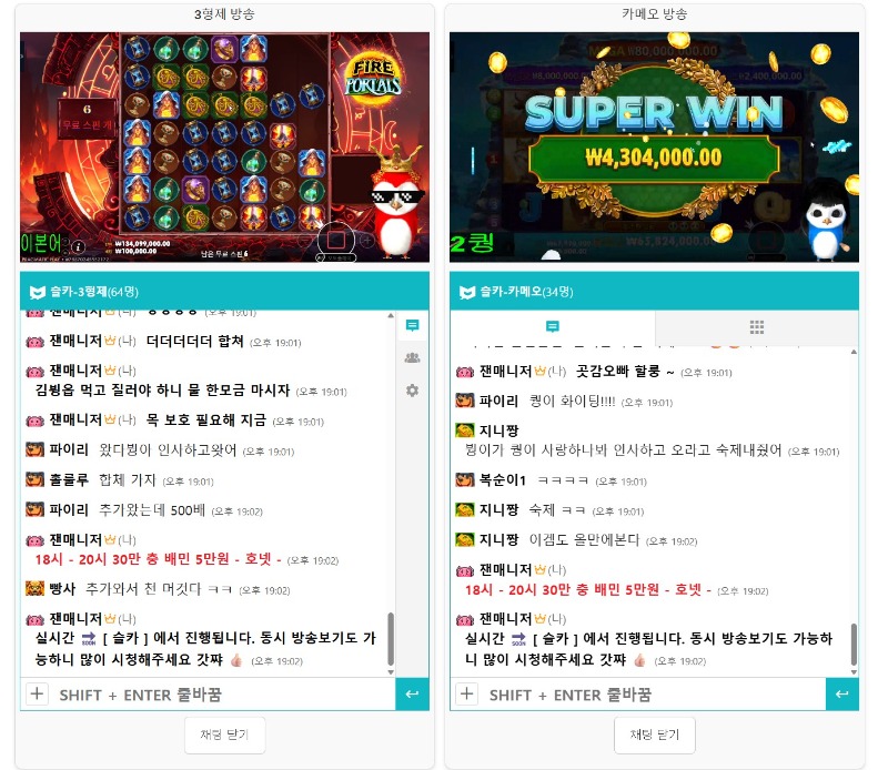 동시 시청 + 호넷 돌발 갔쨤