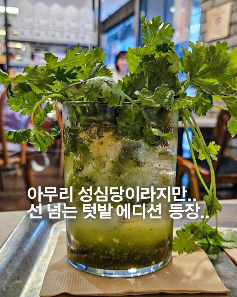 선넘은 성심당 신상 음료