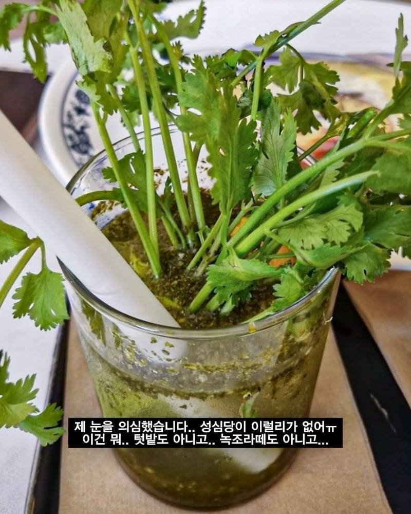 선넘은 성심당 신상 음료