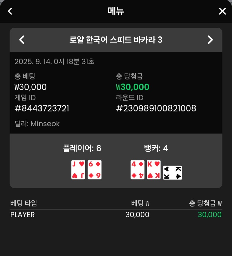 바카라 플레이어 1승