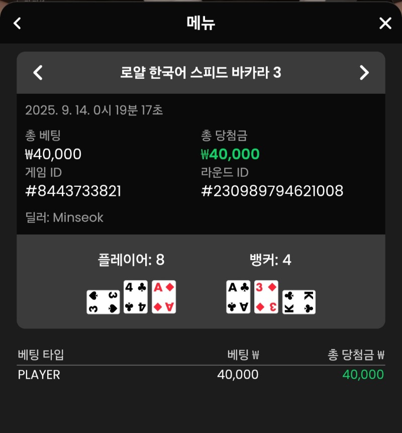 바카라 플레이어 2승