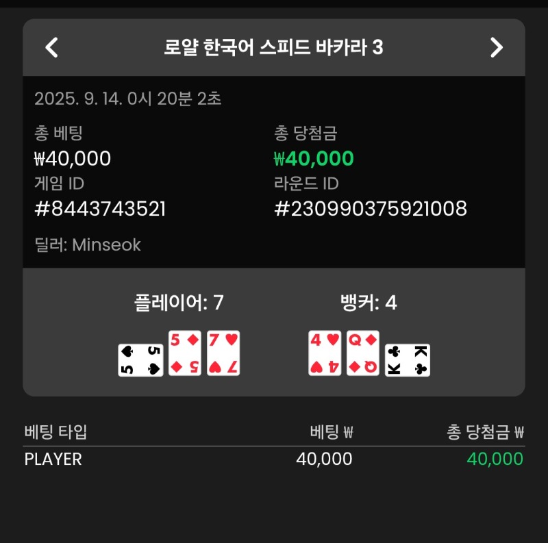 바카라 플레이어 3승