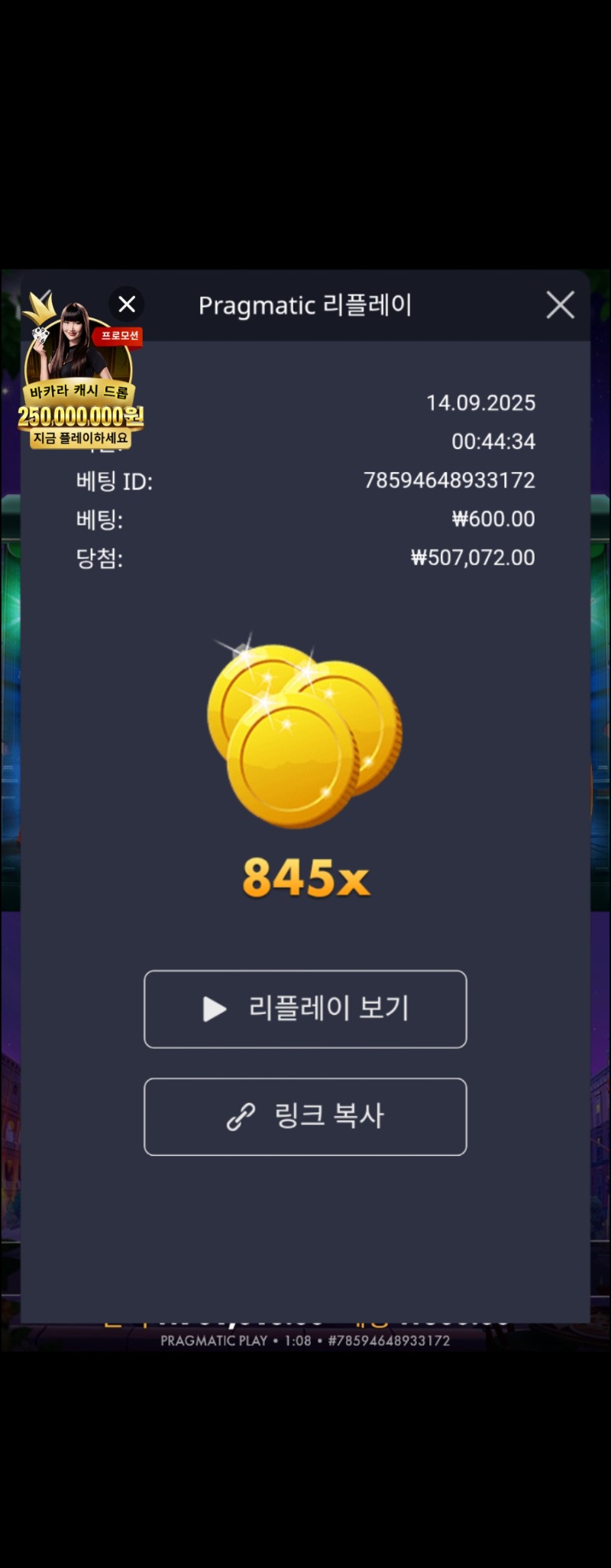 홀리데이 라이드 845x