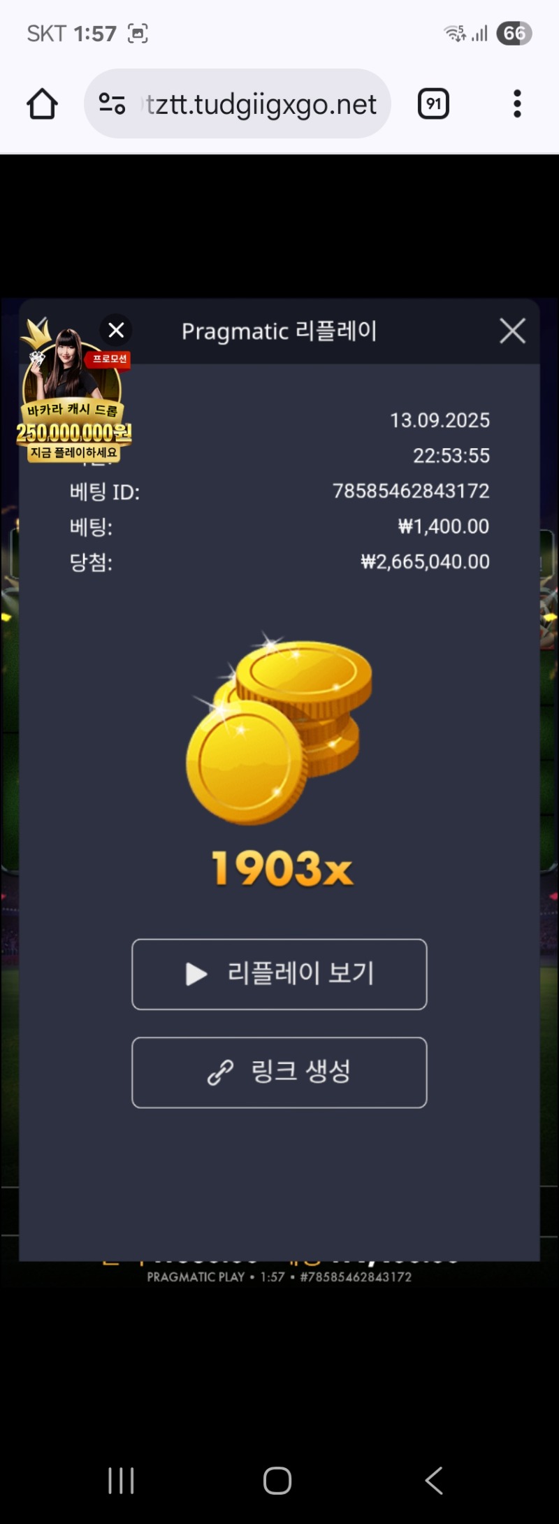 축구1903배