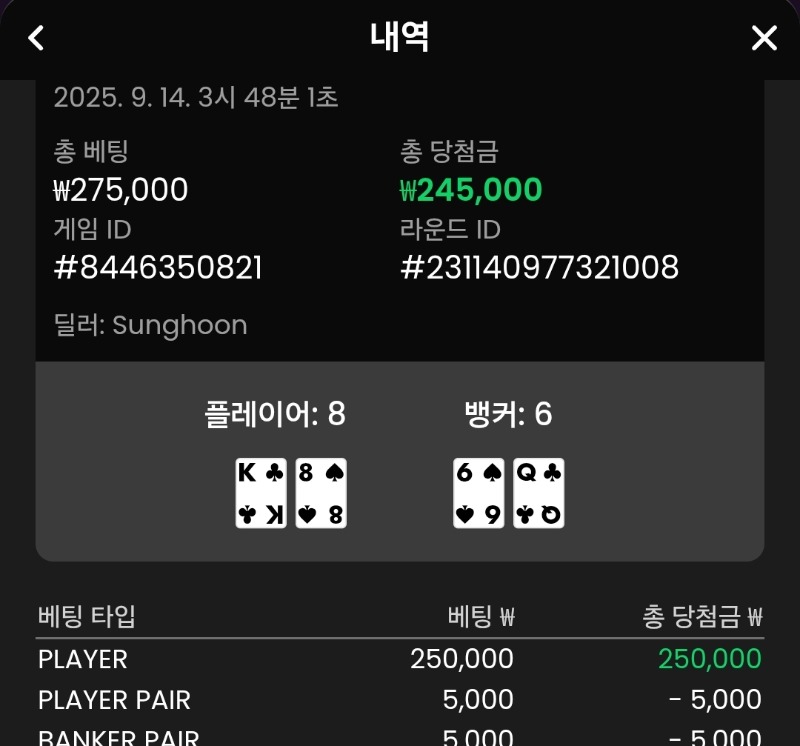 플레이어 승