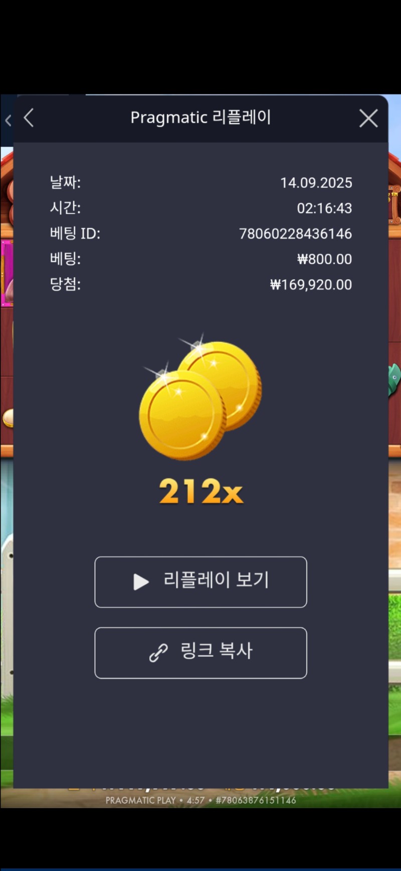 도그메가 212배