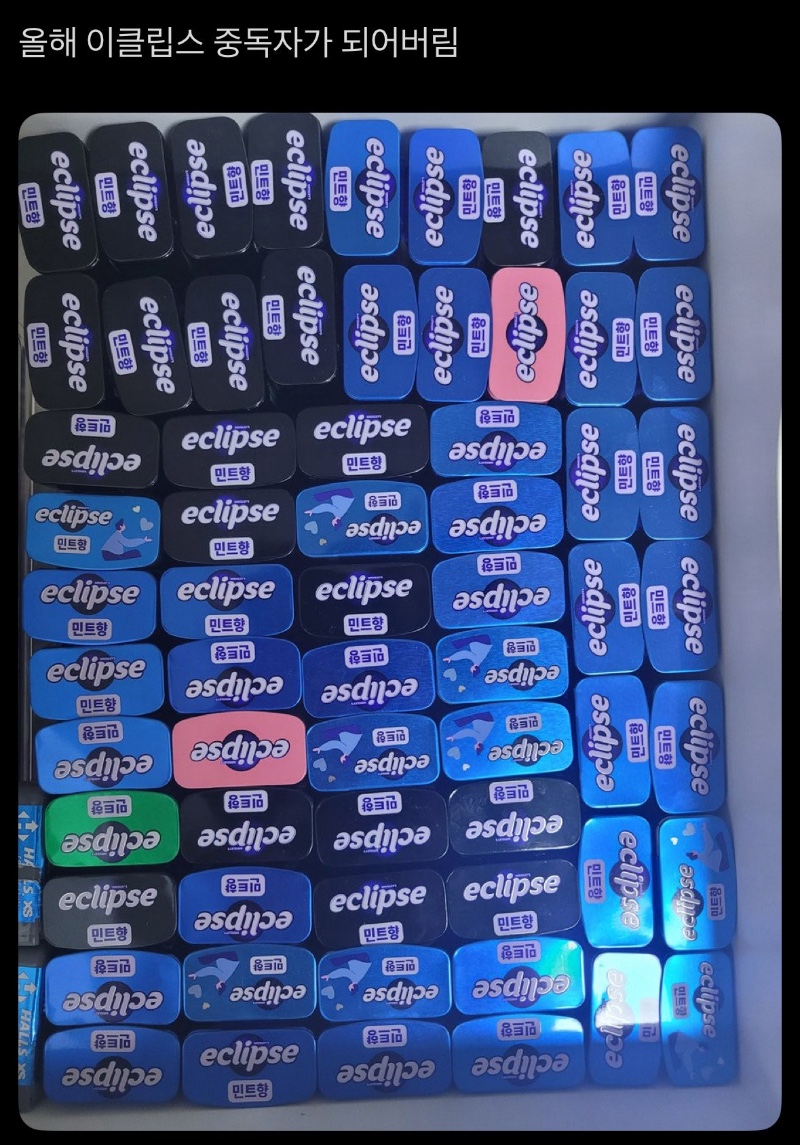 이클립스 빈통을 못버리는 사람들