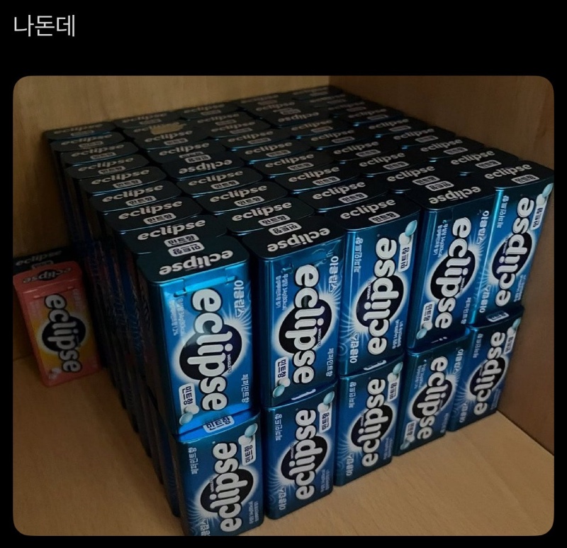 이클립스 빈통을 못버리는 사람들