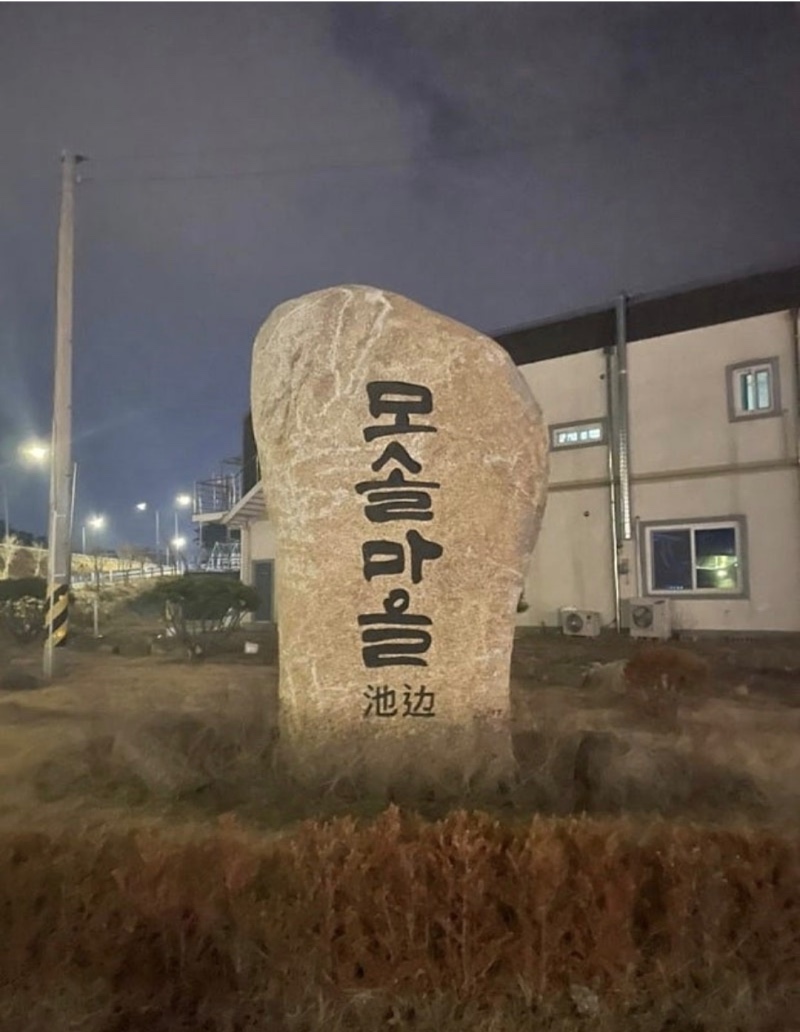 휴가중 상어 현 위치 보고