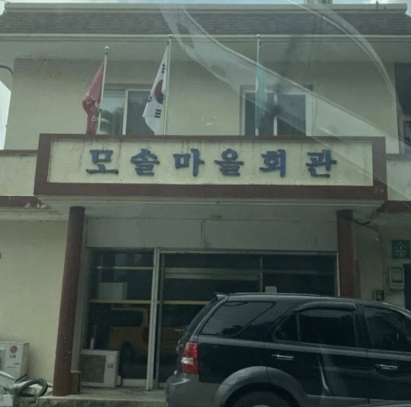 휴가중 상어 현 위치 보고