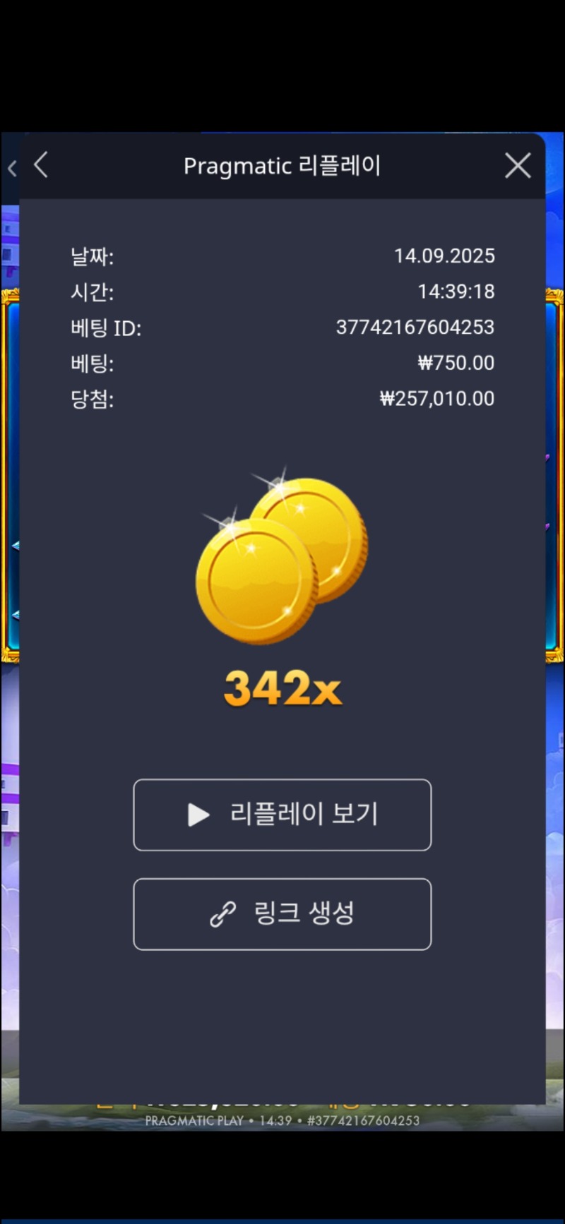 공주1-342배