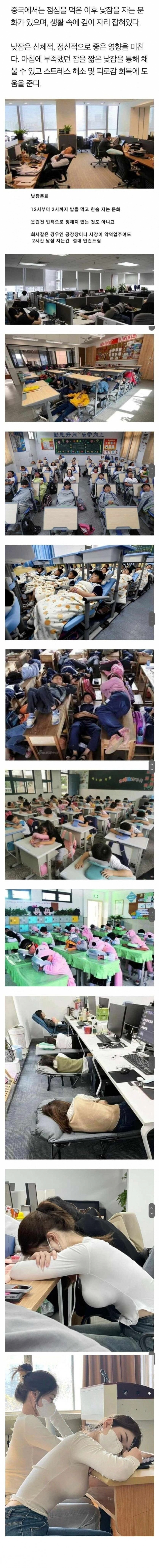 중국의 낮잠 문화
