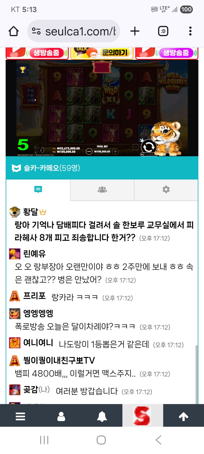 랑이 방송하고있네요 즐방하세요