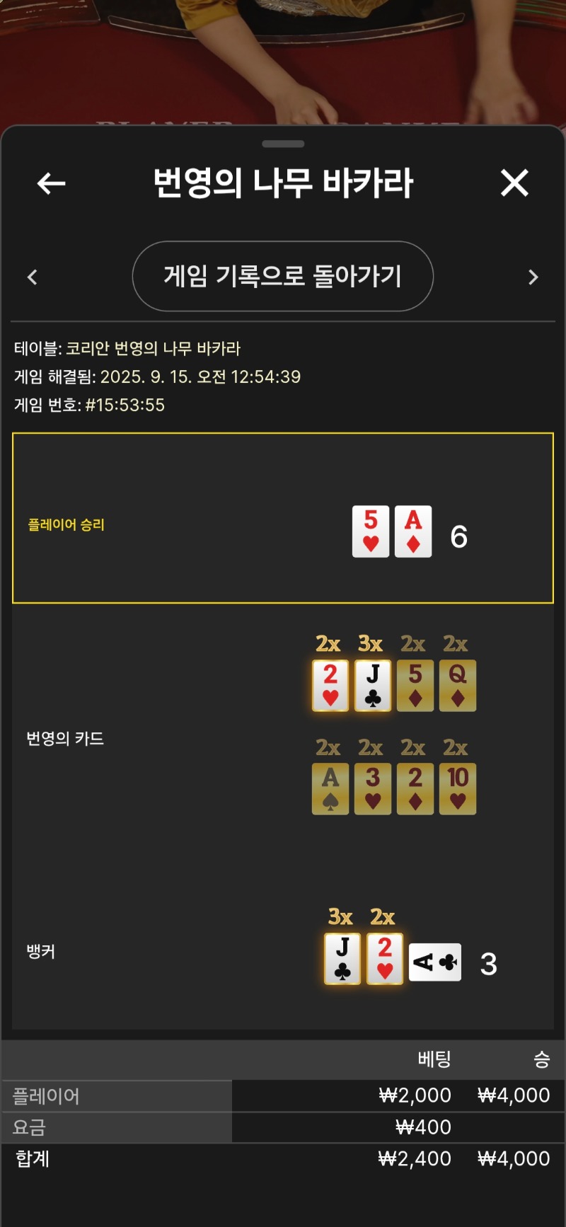 루징금 번영