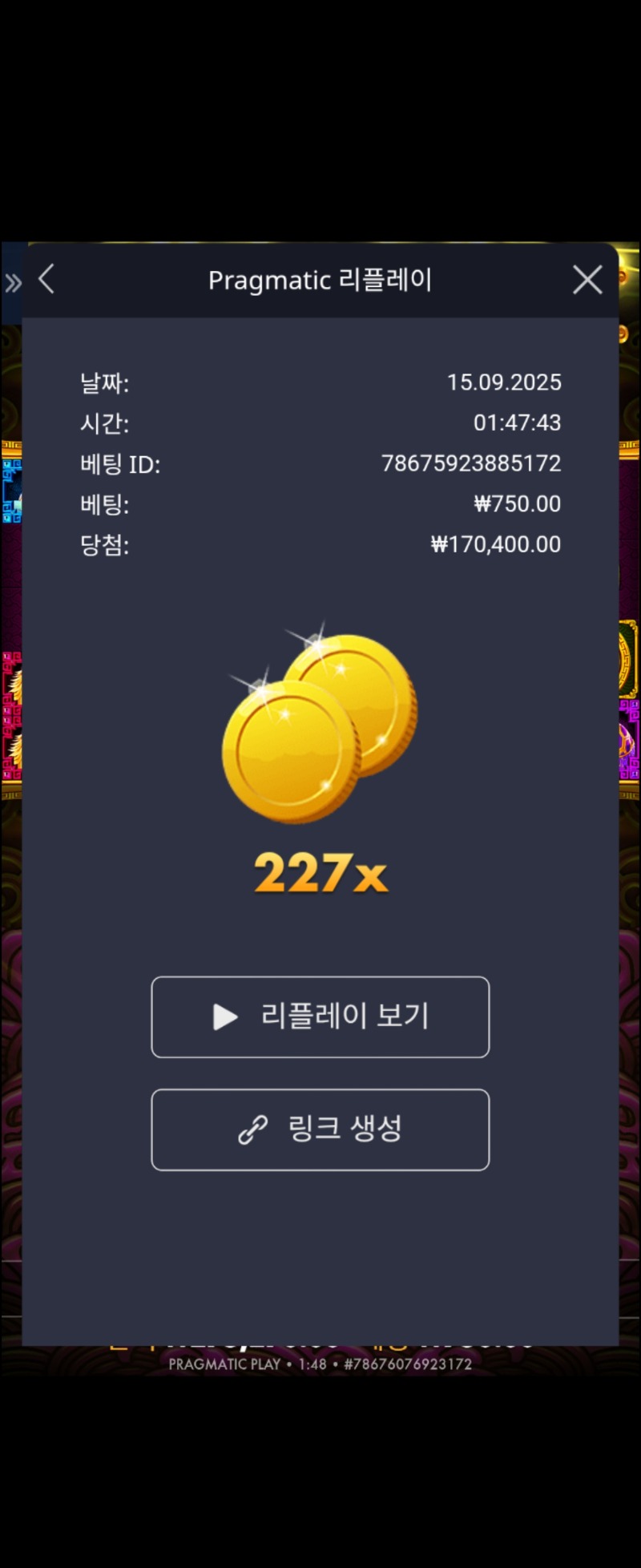 토라메 227배