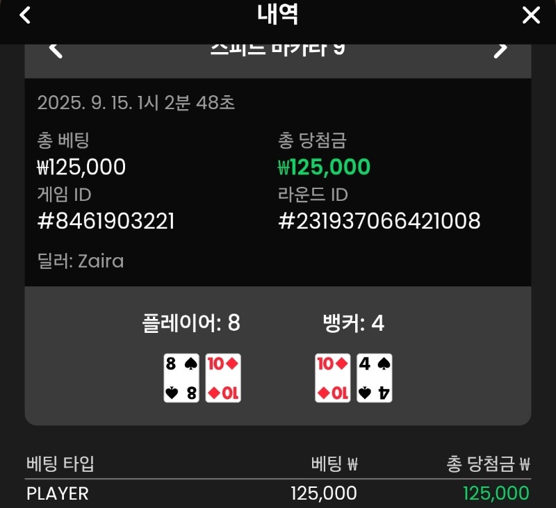 플레이어 승